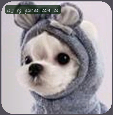 张鹏